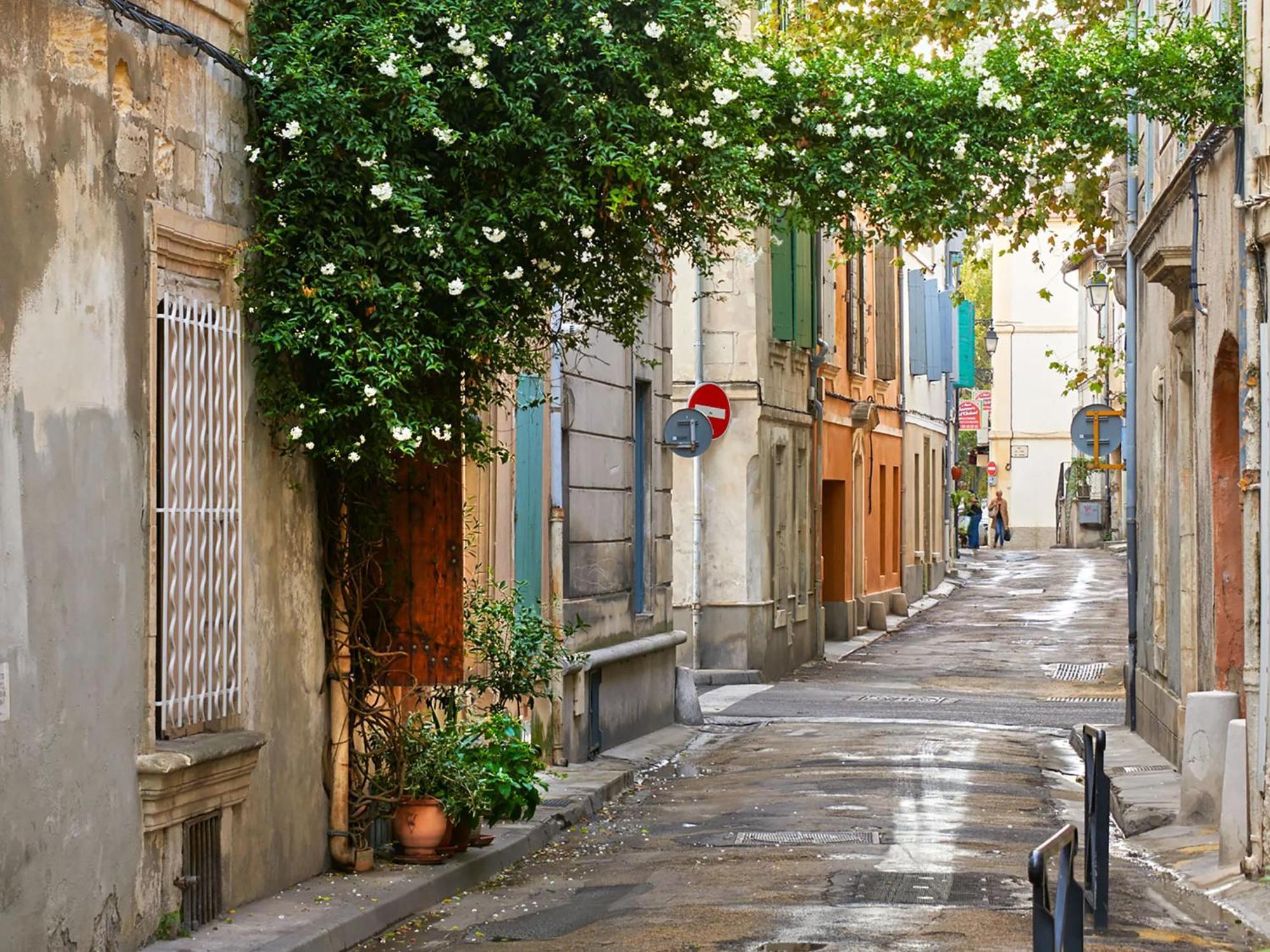 Hebergements Modernes & Cosy A Arles T3 Et T2 Elegants Exterior foto